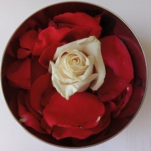 Meet your Posher, Kat